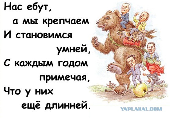 Что изменится в жизни россиян с 1 декабря