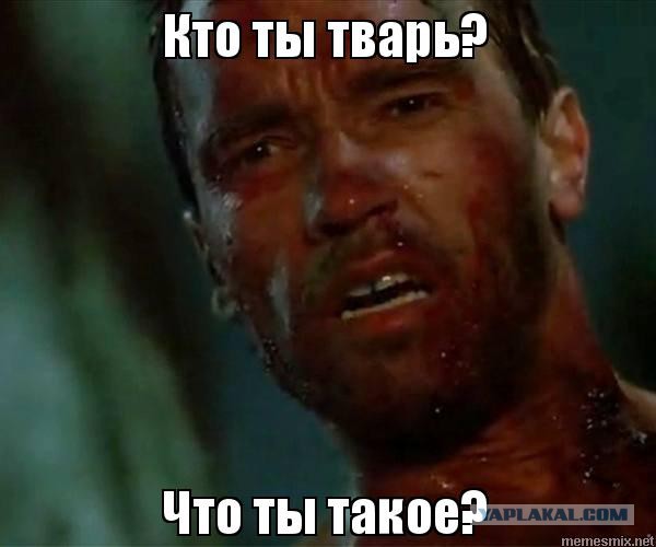 История одного айфона