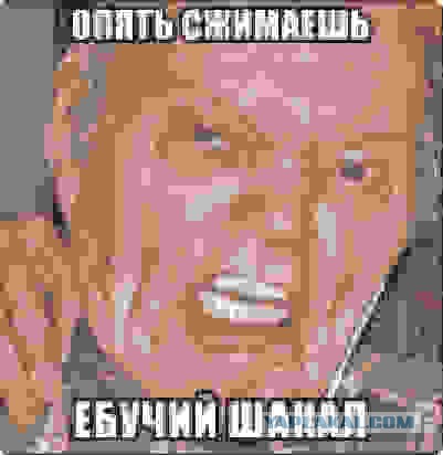 Итоги проверки пользователей