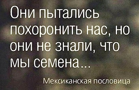 Чем пожертвовал Медведев ради сохранения кресла премьер-министра