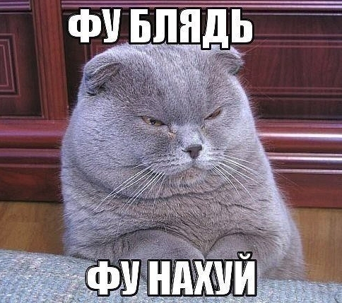 Самые красивые болельщицы чемпионата мира