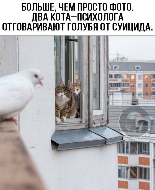 Безнадежность