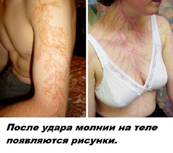 Подборка бесполезных фактов