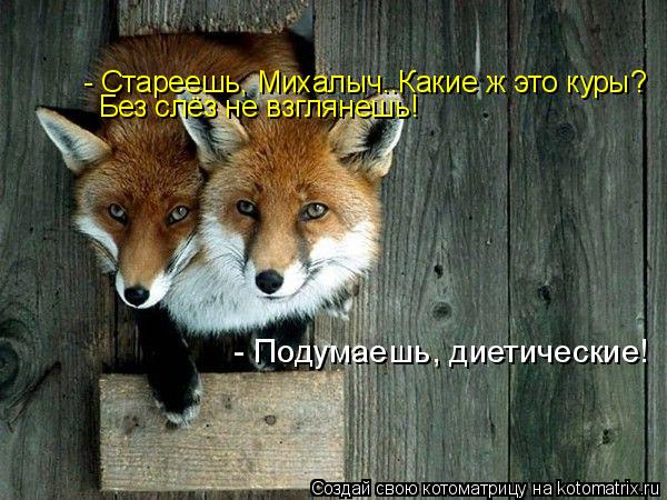 Лиса - воровка