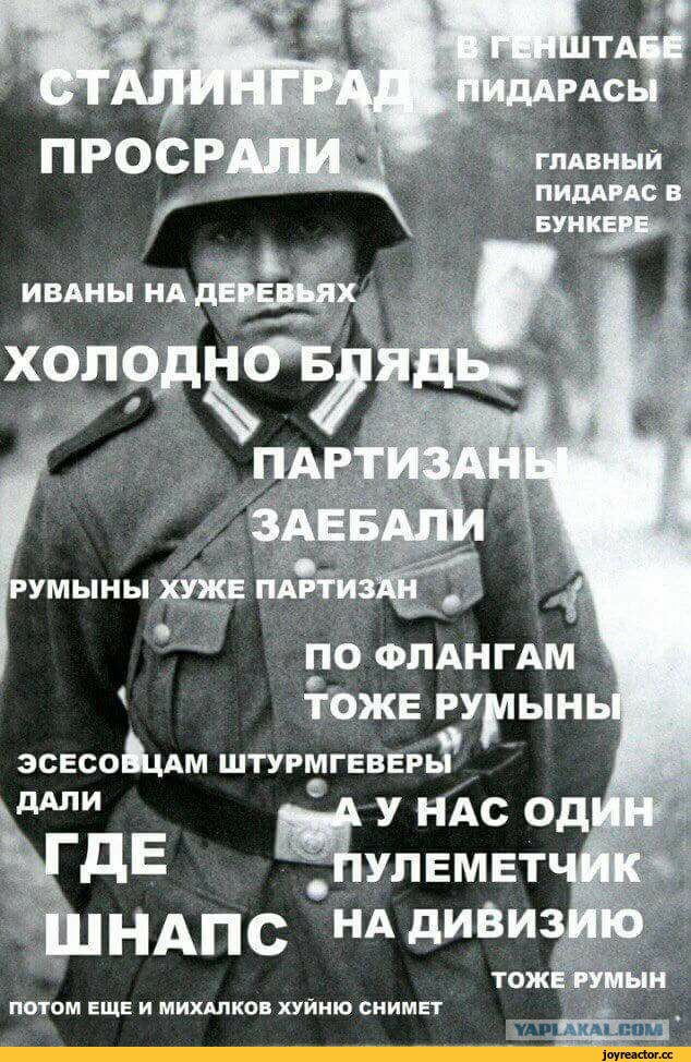 "Освобождавшие Европу от фашизма, были кучкой воров и насильников!"
