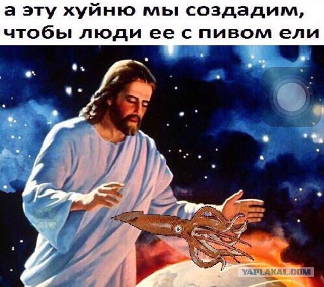 Вскрытие и нарезка пришельца