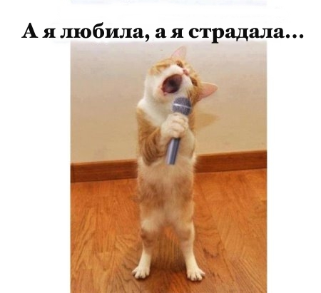 Анекдоты, соц-сети и картинки с надписями