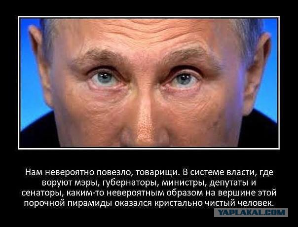 Я вот Путина и чиновников просто обожаю!