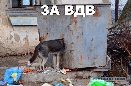 Разных картинок псто 07.08.19