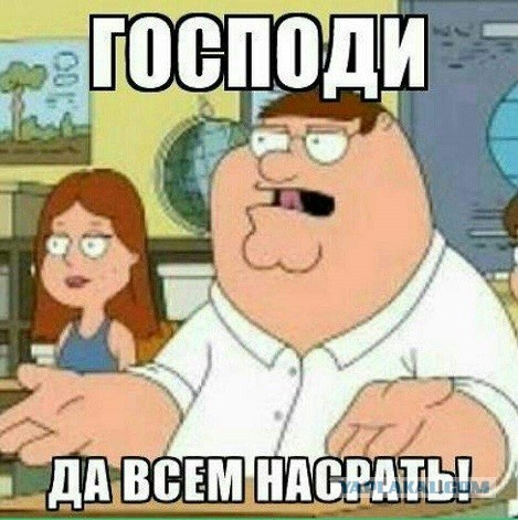 «Аэрофлот» лишил пассажира бонусных миль за перевозку толстого кота в самолете