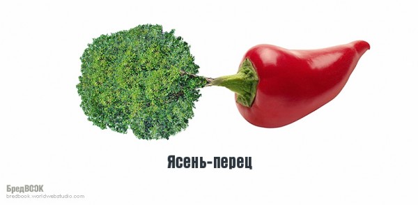 Креативный подход (16 фото)
