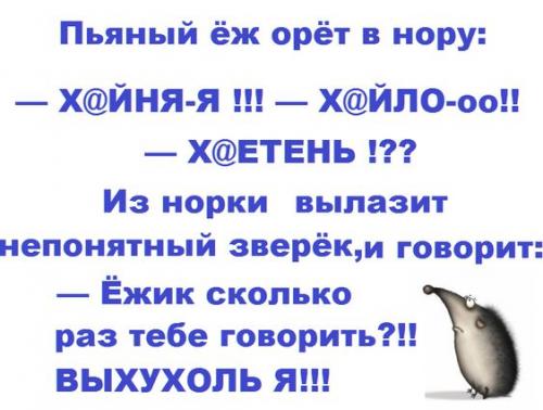 Кретинки 12.01.20