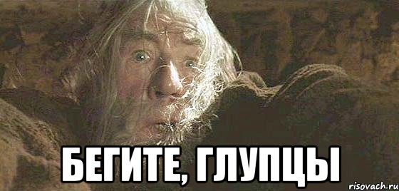 Голосование по поправкам в Конституцию пройдёт до 1 мая 2020