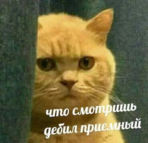Чего тебе ?