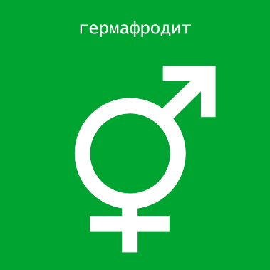Фотожаба: Символизм
