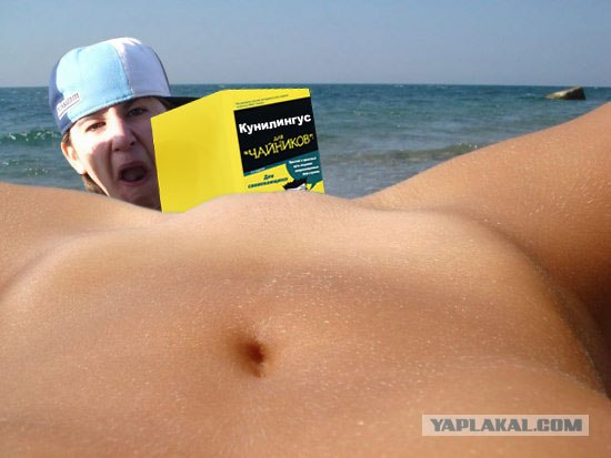 Ракушка и море