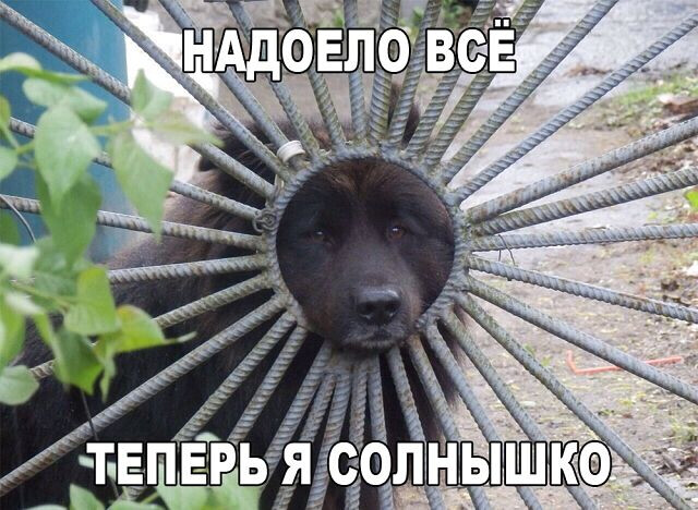 Чуток картинок 25.05.20