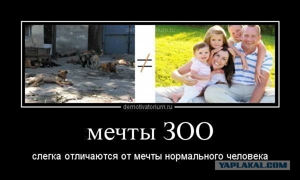 Доброты пост