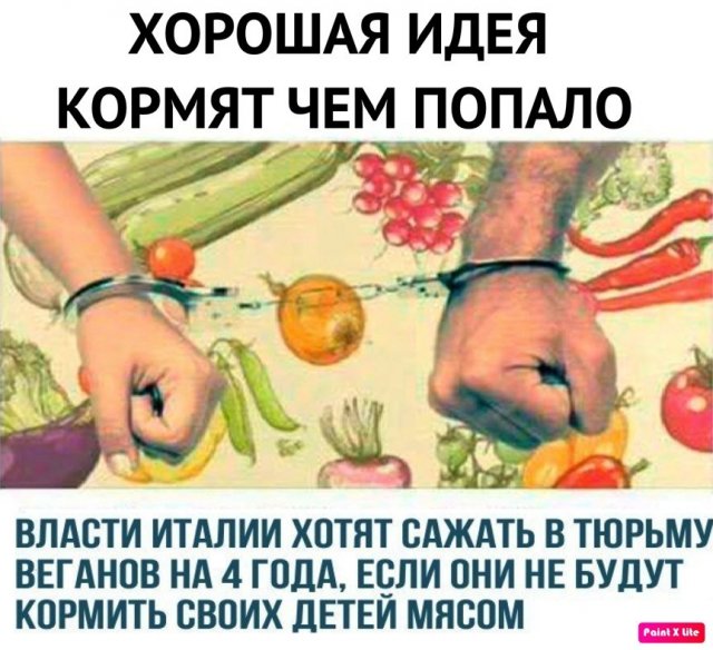 Чуток картинок 27.07.20
