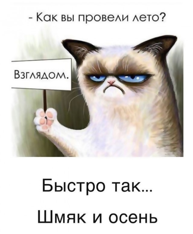 Юмор в картинках 31.08.20