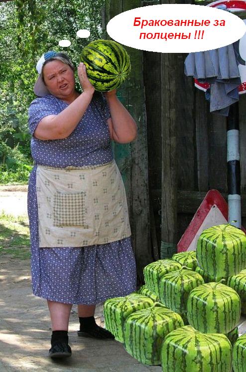 фотожаба: с бревном