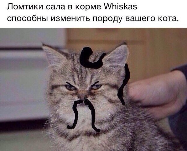 Новую порцию лайтовой чернушки не желаете?