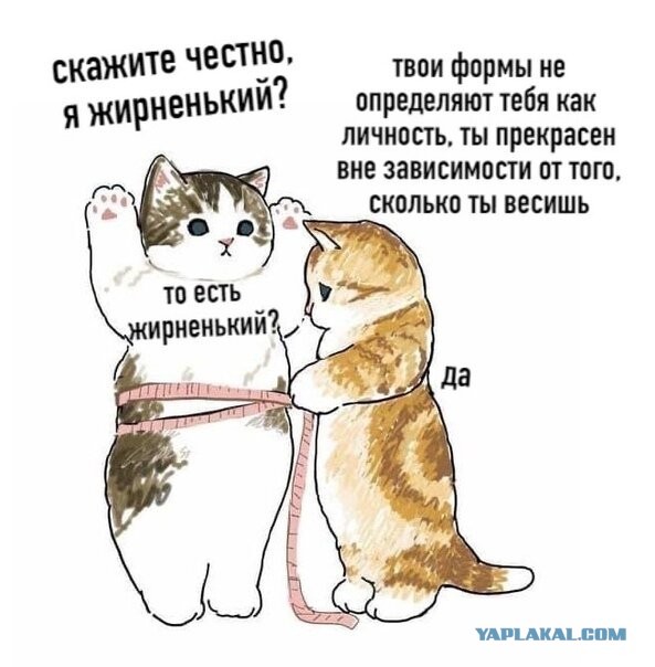 Бредзона 16.12.2020