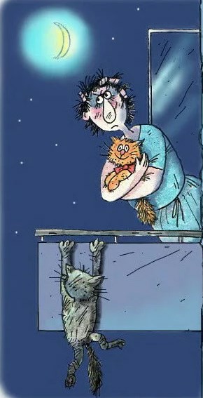 С котопятницей! Улыбнемся?