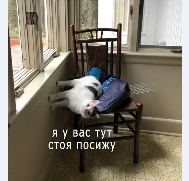 Картинки и мемы для настроения 018