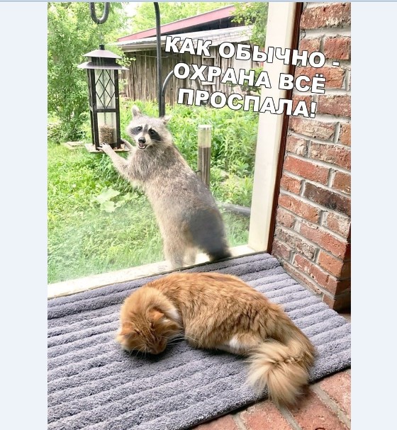 Картинки и мемы для настроения