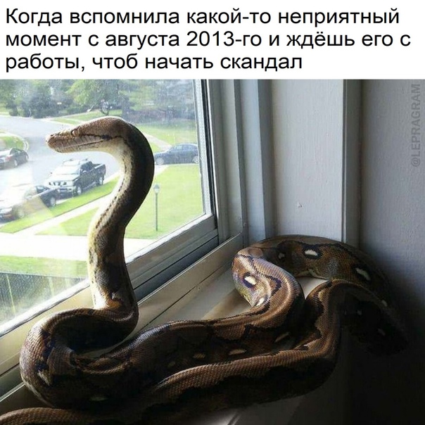 Картинки и мемы для настроения