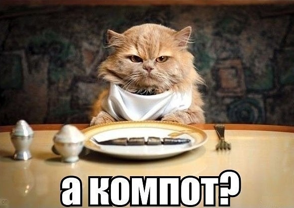 Картинки с котами и про котов
