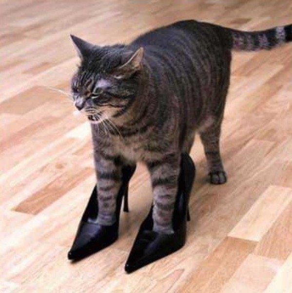 Калейдоскоп картинок