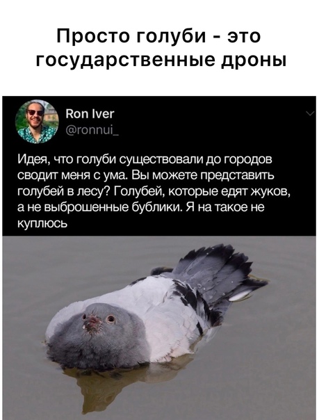 Баянисто-небаянистый юмор 15.05.21