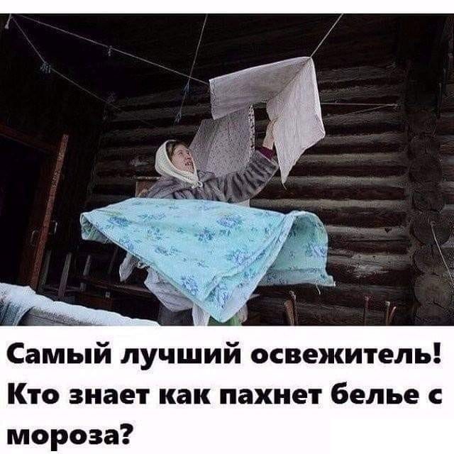 Всяческие картинки 08.11.2021