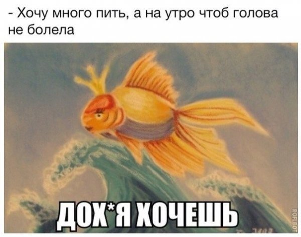 Картинки и мемы для настроения 11.11.2021