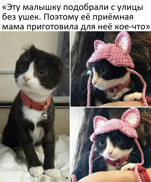 Картинки и мемы для настроения 16.11.2021