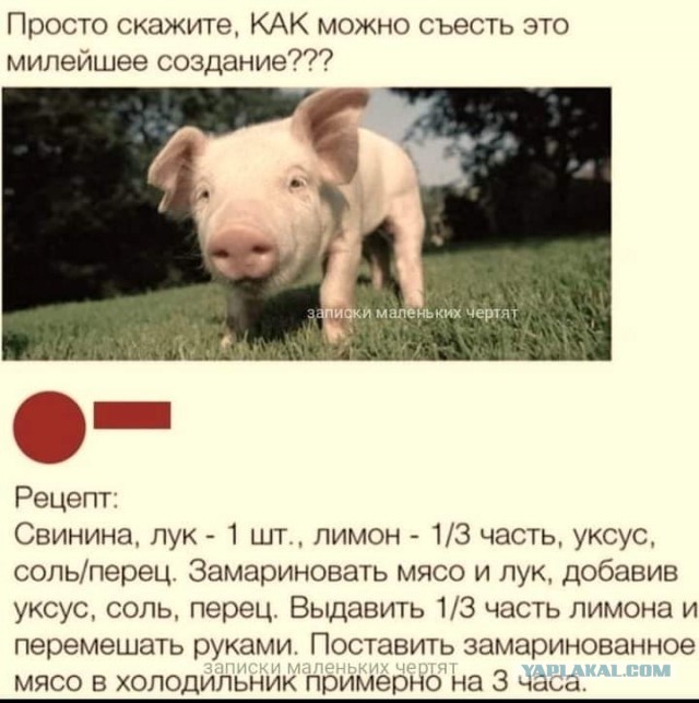 Всяческие картинки 03.12.2021