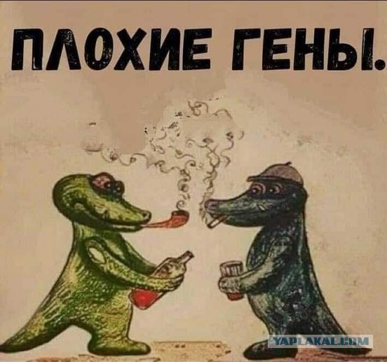 Наградили сестру пропагандистки