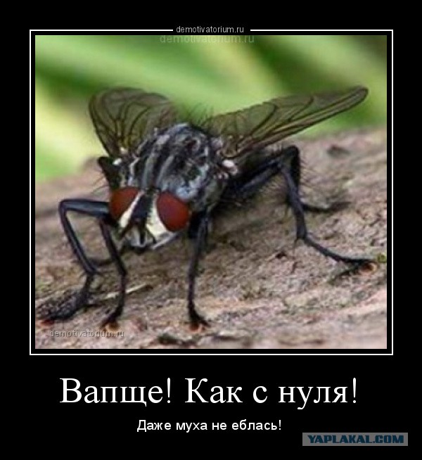 Без пробега по РФ