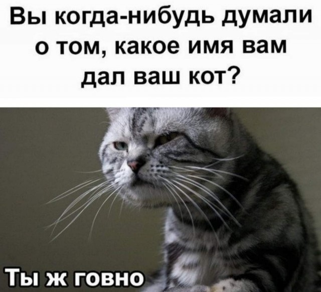 Так себе картинки 17.04.22