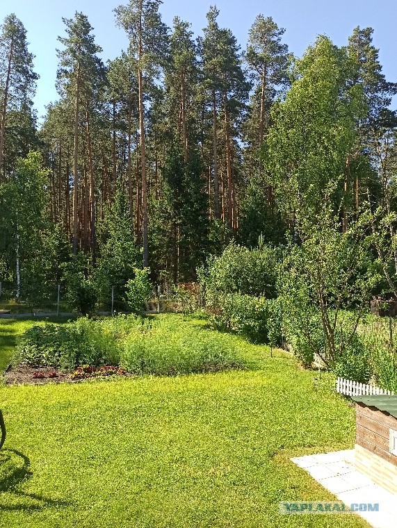 Меня бросил муж