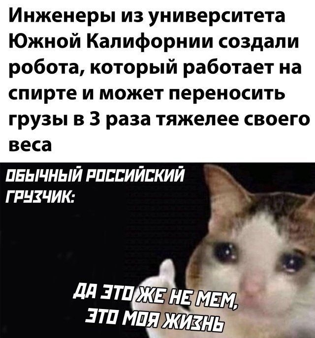 Так себе картинки 14.07.22