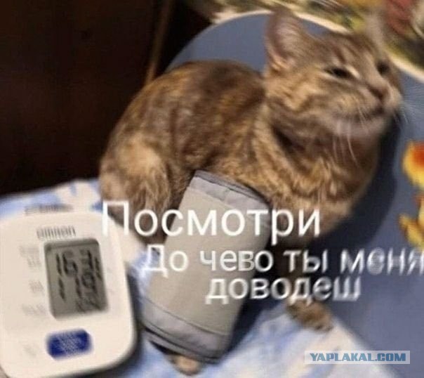 Полёт на Луну откладывается. Ракета не готова.