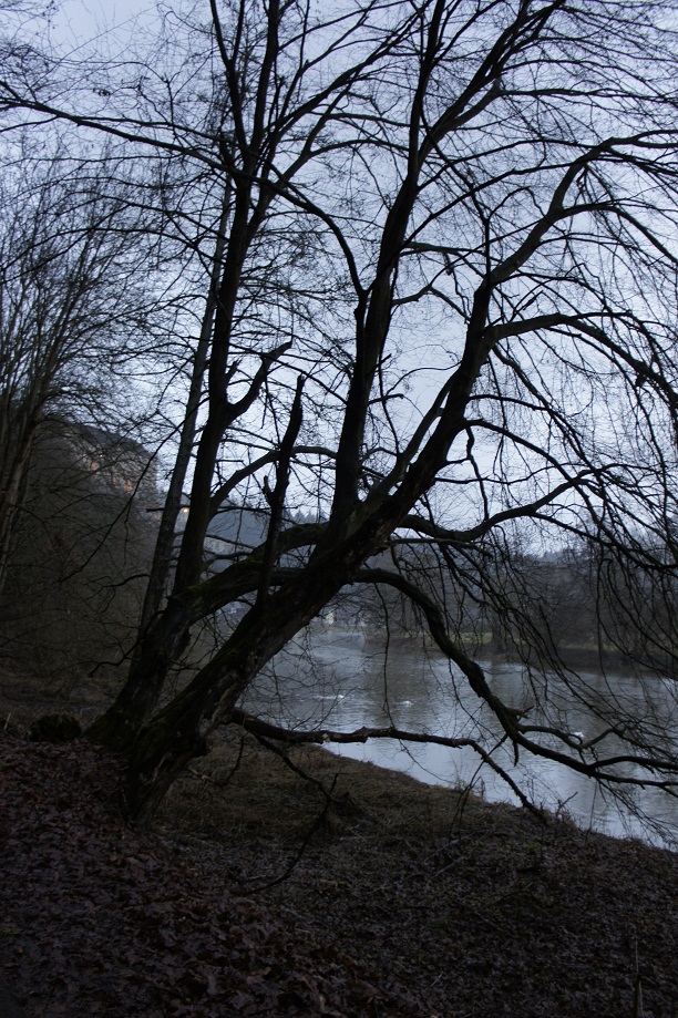 Автотур "Опять несет куда глаза глядятъ"