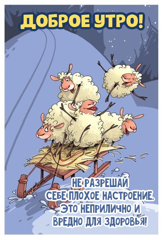 Прикольные и просто красивые картинки 24.01.2023