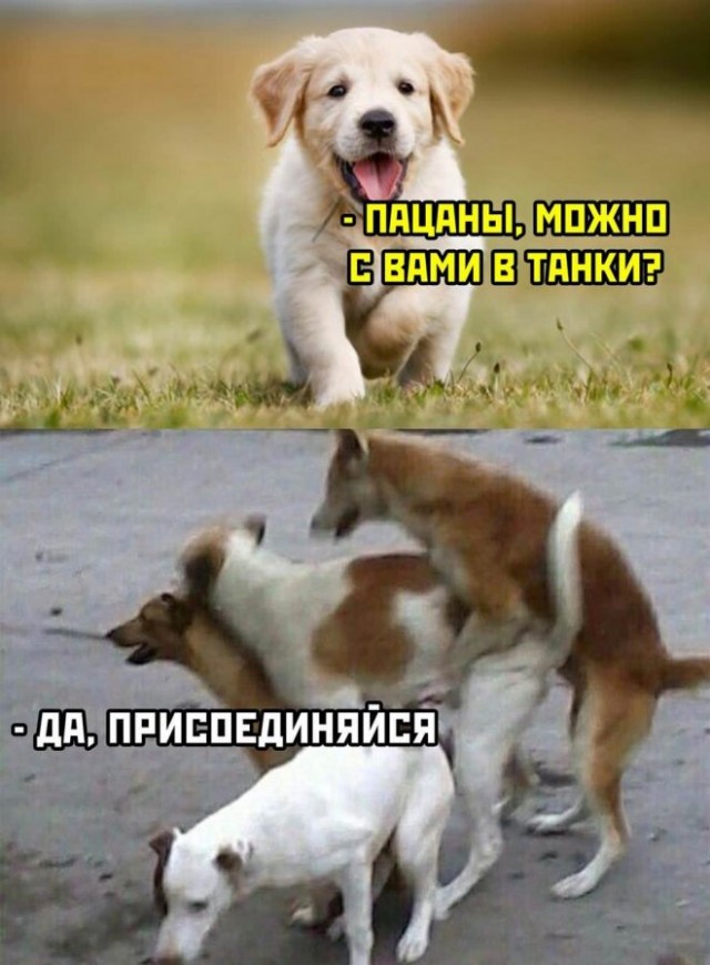 Картинки и мемы для настроения - 131
