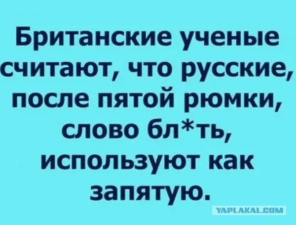 Юмор в картинках и без 21.02.2023
