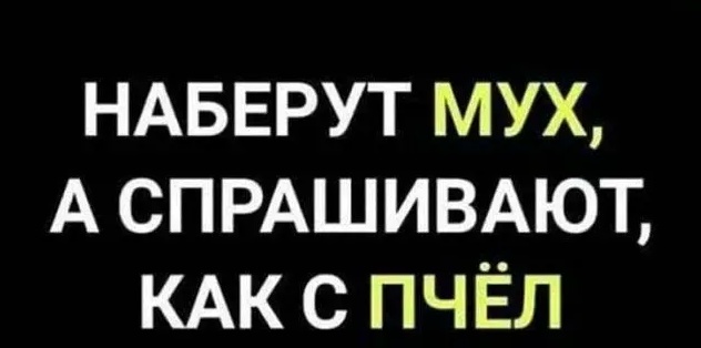 Нуштош 03.08.2023