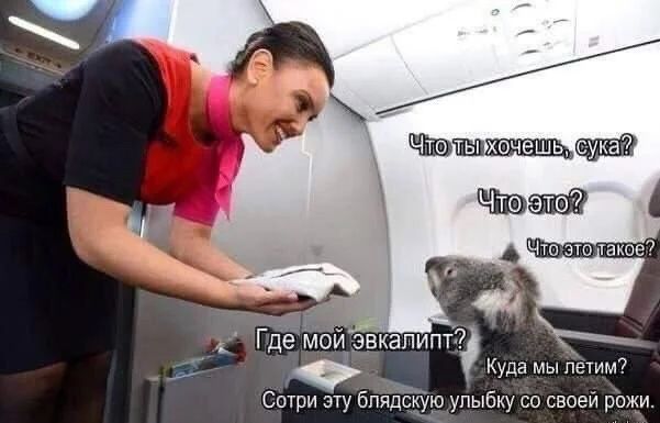 Приколы с налетом деградации